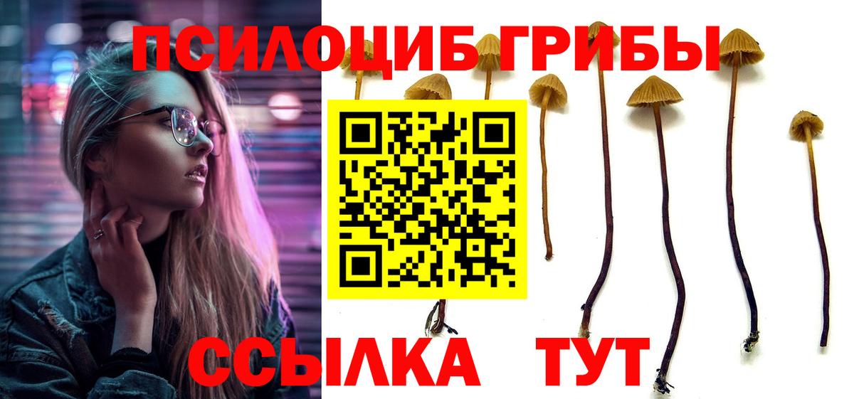 Выборг  Псилоцибиновые грибы мухоморы  где можно купить   Вход с VPN  Псилоцибиновые грибы прущие грибы 